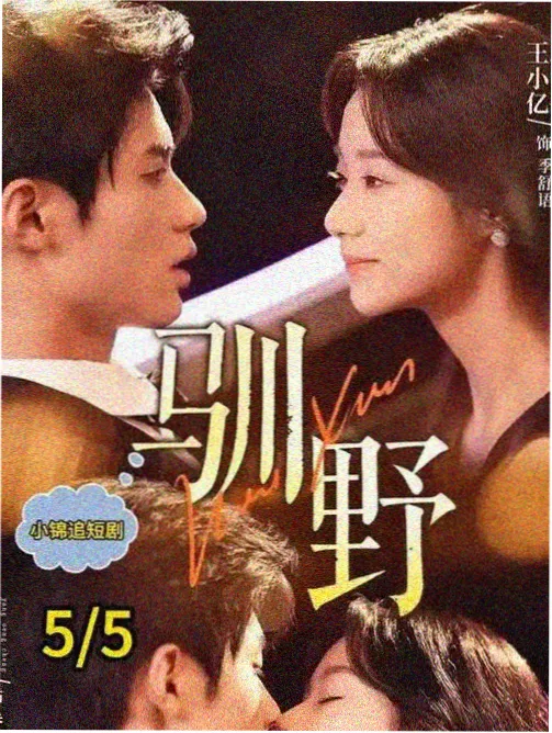 我在故宫修文物 影视大全纯净版免费追剧